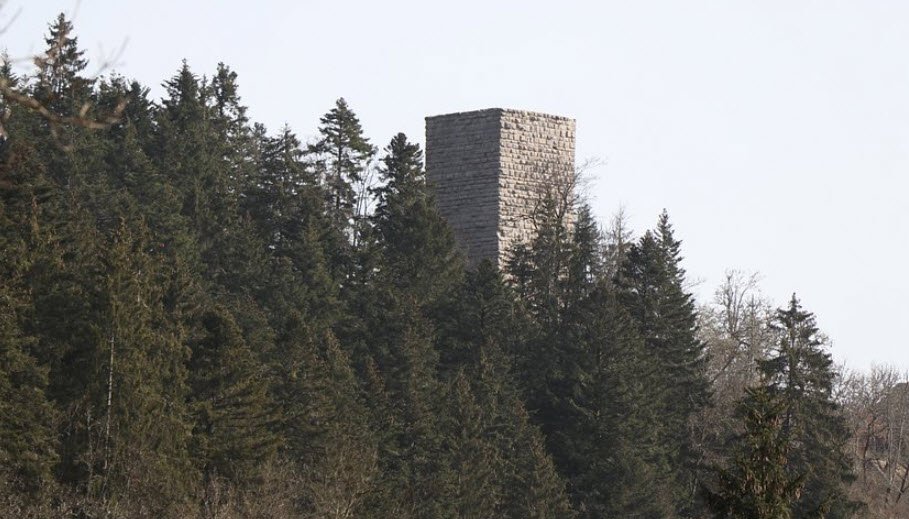 Burgruine Steinegg, Germany